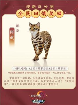 天龙八部私服mir介绍